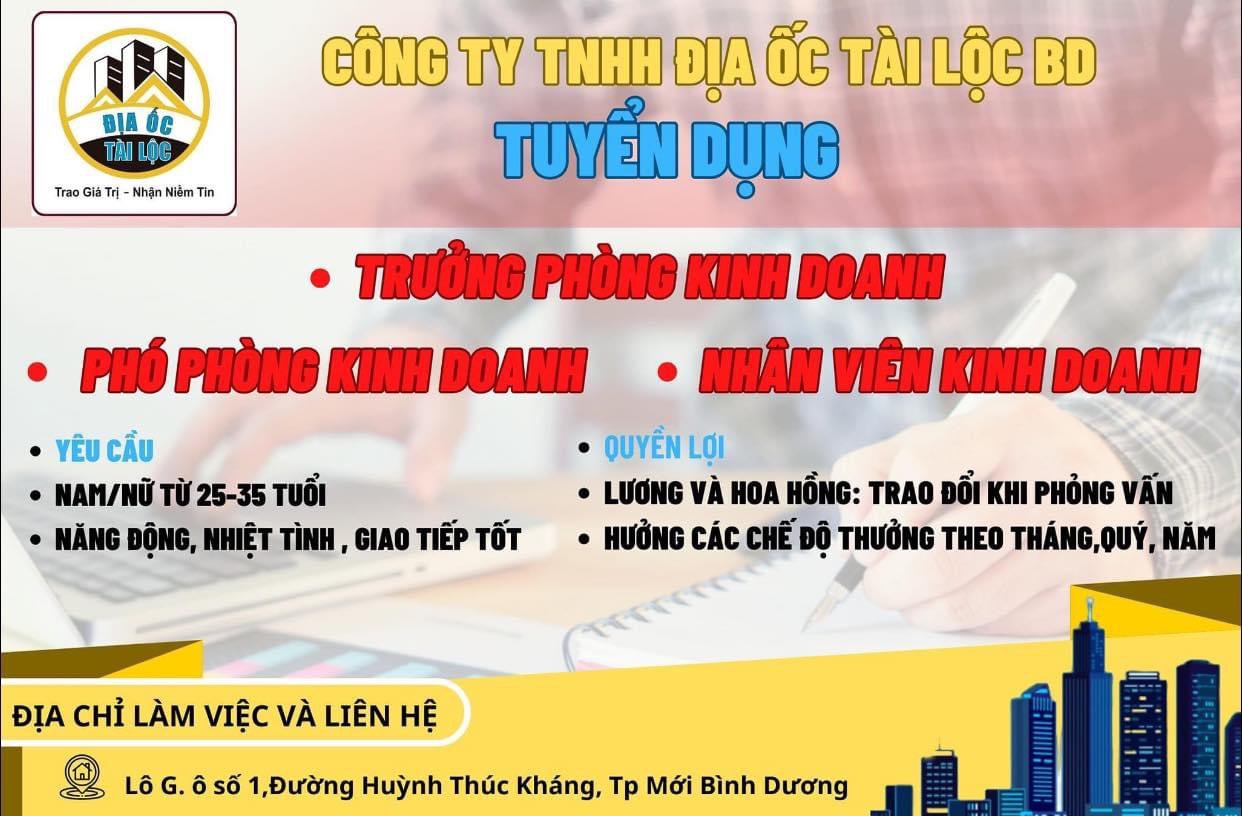 lĩnh vực hoạt động